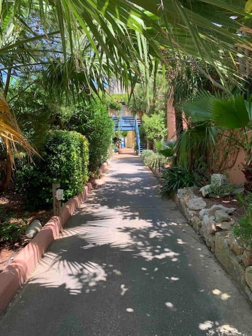 Appartement Cosy Confort Parking Clim Wifi Linge Acces Piscine Non Inclus Canet-en-Roussillon Exterior foto